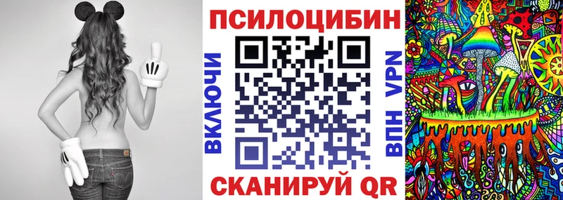 что такое   Москва  Псилоцибиновые грибы GOLDEN TEACHER 